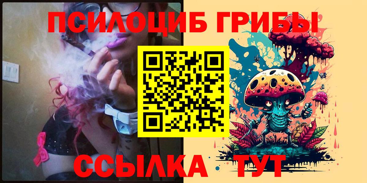 Вольск  Галлюциногенные грибы мицелий  Псилоцибиновые грибы Psilocybine cubensis  Вход с VPN 
