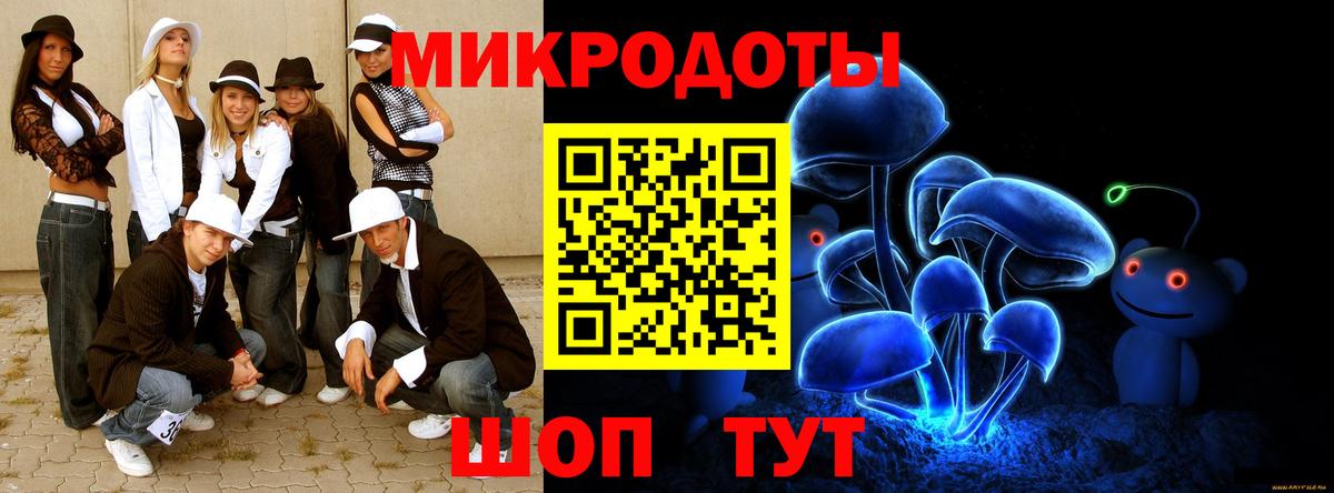 Псилоцибиновые грибы прущие грибы Вольск